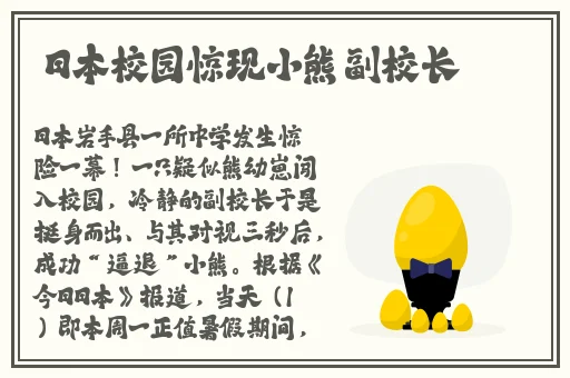 小日子的电影在线观看免费